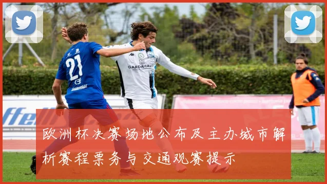 欧洲杯决赛场地公布及主办城市解析赛程票务与交通观赛提示