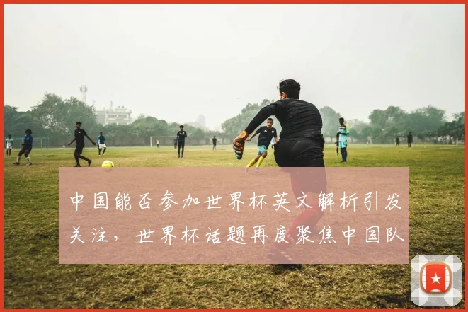 中国能否参加世界杯英文解析引发关注，世界杯话题再度聚焦中国队
